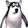 wlkw